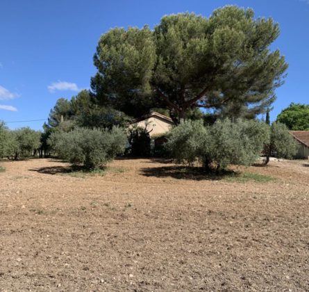 RARE sur la commune de VENTABREN terrain à bâtir de 1000m² - constrcuteur de maison - Villas la Provençale