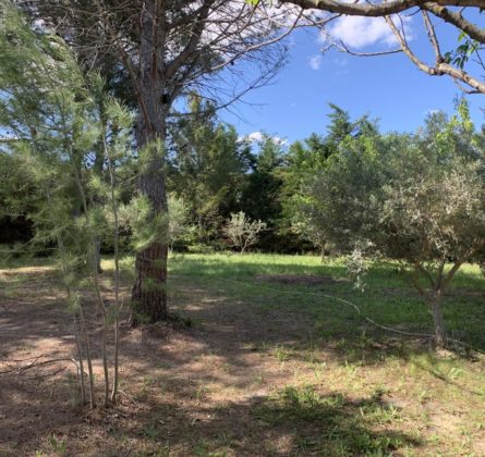 RARE  ET MAGNIFIQUE PARCELLE SUR LA COMUNNE DE VELAUX - constrcuteur de maison - Villas la Provençale