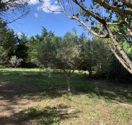 RARE  ET MAGNIFIQUE PARCELLE SUR LA COMUNNE DE VELAUX - constrcuteur de maison - Villas la Provençale