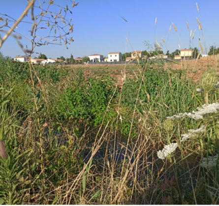 SECTEUR RESIDENTIEL DE SAIT MARTI DE CRAU - constrcuteur de maison - Villas la Provençale