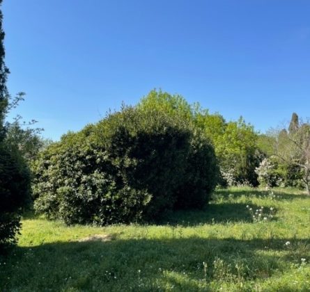 Dernier terrain sur un petit lotissement de 3 lots entièrement viabilisé - constrcuteur de maison - Villas la Provençale