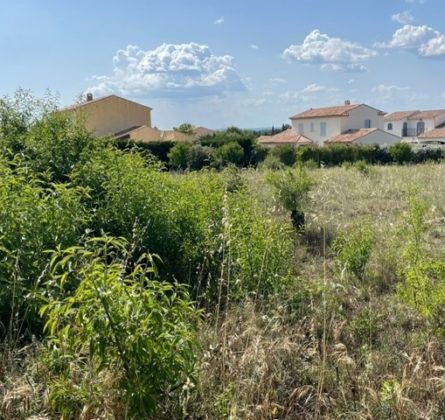 Nouveau projet de 80 m² sur Charleval - constrcuteur de maison - Villas la Provençale