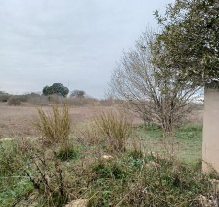 terrain à bâtir sur fos sur mer - constrcuteur de maison - Villas la Provençale