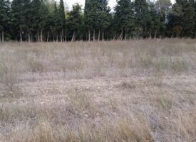 Terrain à bâtir pour Maison à étage à prix attractif