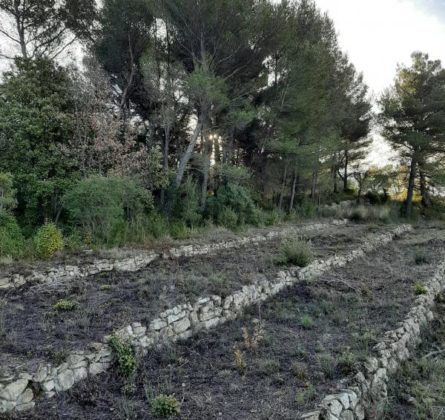 TERRAIN A BATIR SUR LA COMMUNE DE LA BOUILLADISSE - constrcuteur de maison - Villas la Provençale