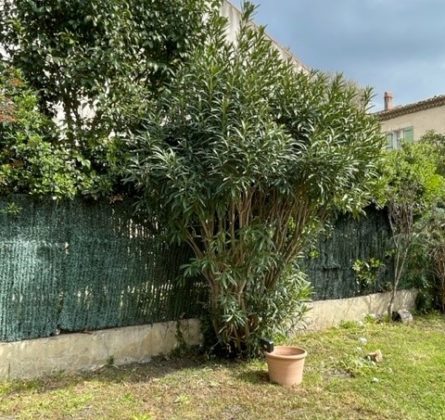 Exclusivité en centre ville de Salon de Provence - constrcuteur de maison - Villas la Provençale