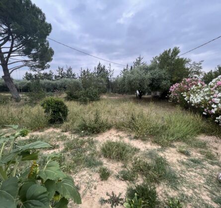 Terrain Pertuis - constrcuteur de maison - Villas la Provençale