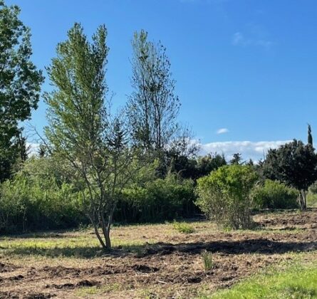 À vendre : Charmante maison de plain-pied au cœur d’un quartier résidentiel - constrcuteur de maison - Villas la Provençale