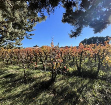 Villa neuve avec Jardin - constrcuteur de maison - Villas la Provençale