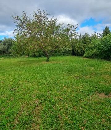 Maison de Plain-Pied sur Terrain Sans Vis-à-Vis – Rapheles les Arles, Bouches-du-Rhône - constrcuteur de maison - Villas la Provençale