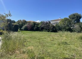 EXCEPTIONNEL SUR EGUILLES
