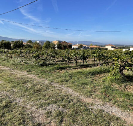 Terrain à bâtir Pourrières - constrcuteur de maison - Villas la Provençale