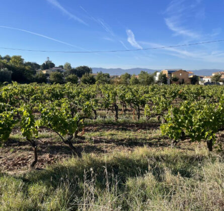 Terrain à bâtir Pourrières - constrcuteur de maison - Villas la Provençale