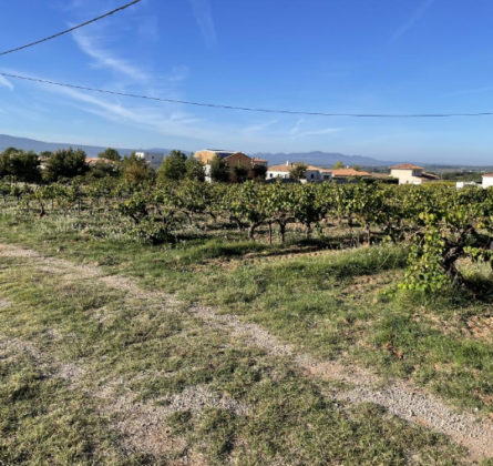 Terrain à bâtir - constrcuteur de maison - Villas la Provençale