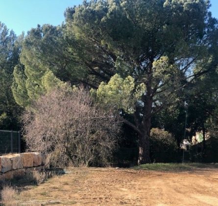 Dernier lot sur Alleins - constrcuteur de maison - Villas la Provençale