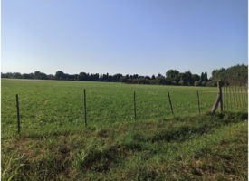 TERRAIN  DE 955  M2 VIABILISE SAINT MARTIN DE CRAU