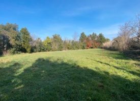SUPERBE TERRAIN PLAT A MOLLEGES