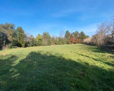 SUPERBE TERRAIN PLAT A MOLLEGES - constrcuteur de maison - Villas la Provençale