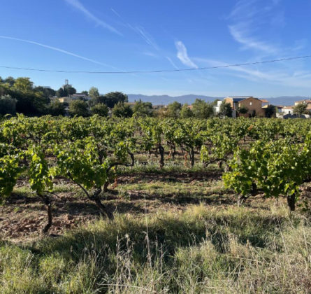 Terrain à bâtir - constrcuteur de maison - Villas la Provençale