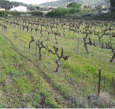Superbe terrain dans secteur recherché - constrcuteur de maison - Villas la Provençale