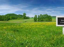 Salon Nouveau lotissement avec terrain de 300m²