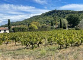 SUPERBE TERRAIN SECTEUR SUD LUBERON VILLELAURE