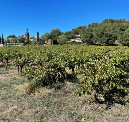 SUPERBE TERRAIN SECTEUR SUD LUBERON VILLELAURE - constrcuteur de maison - Villas la Provençale