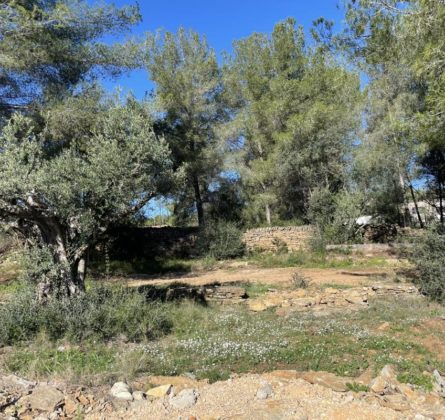 Projet de construction - constrcuteur de maison - Villas la Provençale