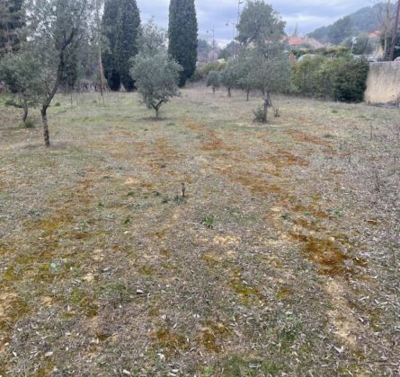 Terrain à bâtir - constrcuteur de maison - Villas la Provençale