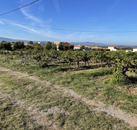 Projet terrain+construction - constrcuteur de maison - Villas la Provençale