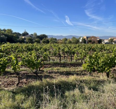 Projet terrain+construction - constrcuteur de maison - Villas la Provençale