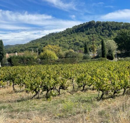 SUPERBE TERRAIN SECTEUR SUD LUBERON VILLELAURE - constrcuteur de maison - Villas la Provençale