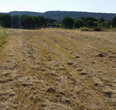 terrain à Bâtir Viabilisé dans coin recherché - constrcuteur de maison - Villas la Provençale