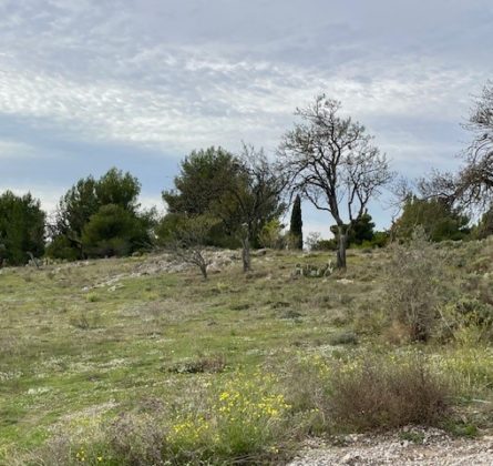 Au pied du Luberon, votre projet de construction - constrcuteur de maison - Villas la Provençale