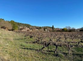 Magnifique terrain de 930m² à Villelaure