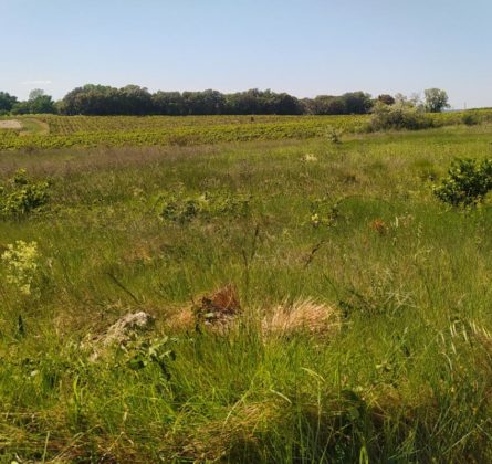 Maison familiale secteur recherché - constrcuteur de maison - Villas la Provençale