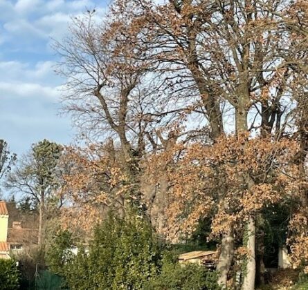 Belle maison de 120 m² proposant une belle pièce de vie de 50 m² ouvert sur le jardin - constrcuteur de maison - Villas la Provençale