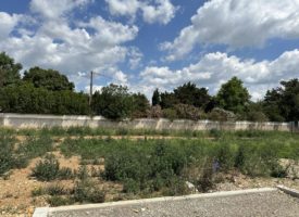 Terrain RAPHELE LES ARLES