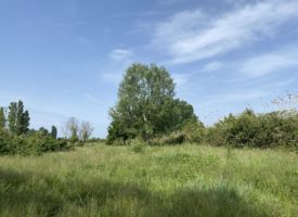 TERRAIN A BATIR ARLES LE SAMBUC