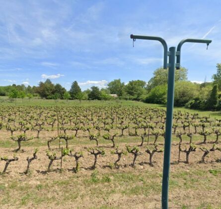 Terrain de 497 m² dans un lotissement à Brignoles - constrcuteur de maison - Villas la Provençale