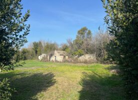 Saint Rémy de Provence Superbe terrain plat proche centre ville