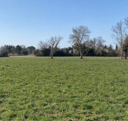 Terrains à bâtir à partir de 600m² à SAINT-MARTIN-DE CRAU (13) - constrcuteur de maison - Villas la Provençale