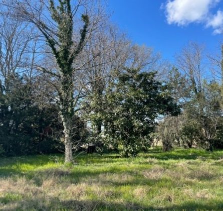 Cavaillon, beau terrain en lotissement - constrcuteur de maison - Villas la Provençale
