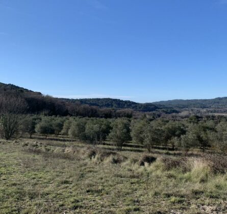 Dernière opportunité Vaison-la-Romaine - constrcuteur de maison - Villas la Provençale