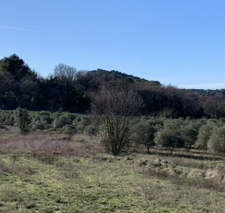 Dernière opportunité Vaison-la-Romaine - constrcuteur de maison - Villas la Provençale