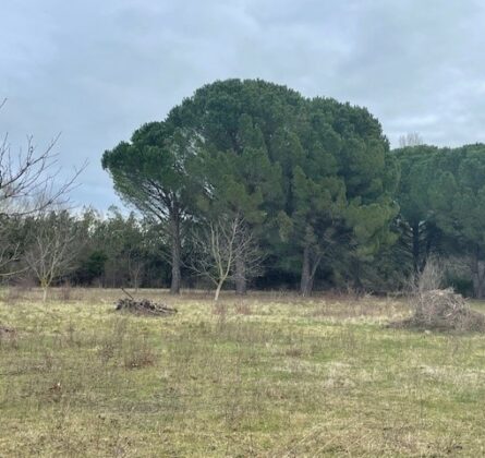 Belle parcelle de terrain de 2000 m² nichée dans la nature - constrcuteur de maison - Villas la Provençale