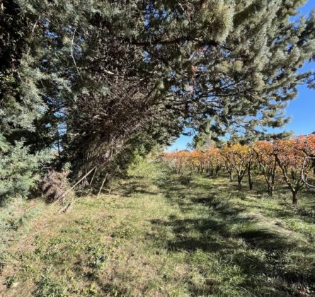 Terrain constructible au calme - constrcuteur de maison - Villas la Provençale