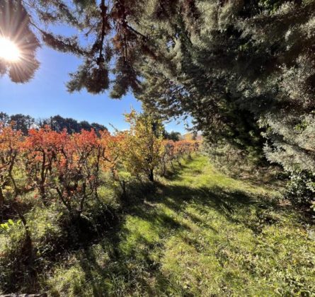 Terrain constructible au calme - constrcuteur de maison - Villas la Provençale