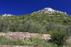 TERRAIN A BATIR SUR LA COMMUNE DE LA BOUILLADISSE - constrcuteur de maison - Villas la Provençale