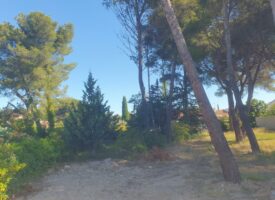À Vendre : Magnifique terrain au calme à Saint-Mitre-Les-Remparts